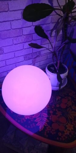 Solar Floating Pool Lights photo review